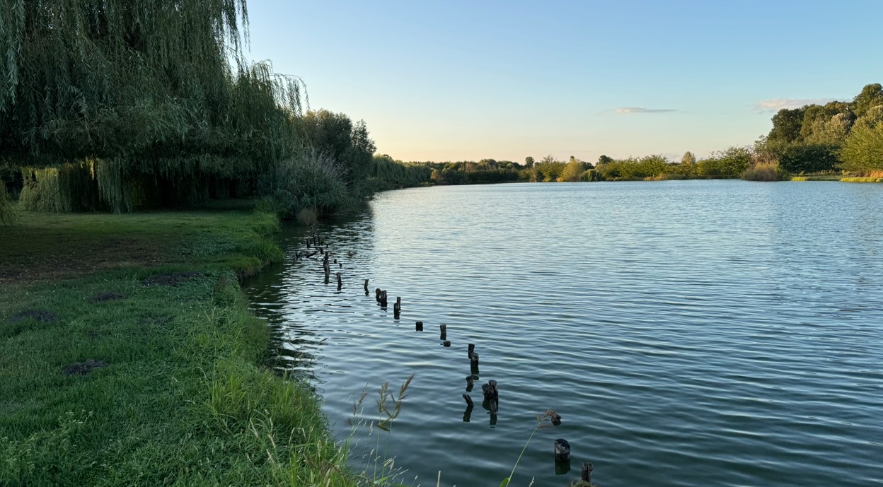 Tópart és környezet